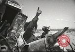 Image of mule pulled wagon Las Vegas Nevada USA, 1952, second 19 stock footage video 65675059276