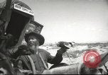 Image of mule pulled wagon Las Vegas Nevada USA, 1952, second 26 stock footage video 65675059276