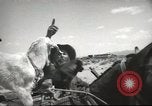 Image of mule pulled wagon Las Vegas Nevada USA, 1952, second 28 stock footage video 65675059276