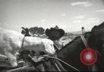Image of mule pulled wagon Las Vegas Nevada USA, 1952, second 31 stock footage video 65675059276