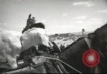 Image of mule pulled wagon Las Vegas Nevada USA, 1952, second 32 stock footage video 65675059276