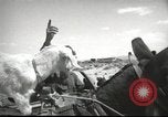Image of mule pulled wagon Las Vegas Nevada USA, 1952, second 33 stock footage video 65675059276
