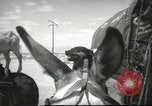 Image of mule pulled wagon Las Vegas Nevada USA, 1952, second 36 stock footage video 65675059276