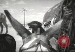 Image of mule pulled wagon Las Vegas Nevada USA, 1952, second 37 stock footage video 65675059276
