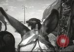 Image of mule pulled wagon Las Vegas Nevada USA, 1952, second 38 stock footage video 65675059276