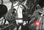 Image of mule pulled wagon Las Vegas Nevada USA, 1952, second 40 stock footage video 65675059276