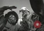Image of mule pulled wagon Las Vegas Nevada USA, 1952, second 42 stock footage video 65675059276