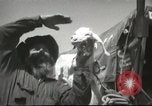 Image of mule pulled wagon Las Vegas Nevada USA, 1952, second 47 stock footage video 65675059276