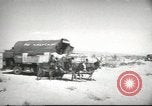 Image of mule pulled wagon Las Vegas Nevada USA, 1952, second 59 stock footage video 65675059276