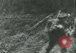 Standbild General Douglas MacArthur Neu Guinea, 1943, aus Sekunde 60 historischem Filmmaterial Videoclip 65675059285