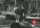 Standbild coast guards United States USA, 1943, aus Sekunde 7 historischem Filmmaterial Videoclip 65675059286