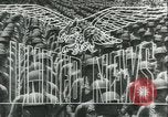 Standbild USA Soldaten United States USA, 1943, aus Sekunde 13 historischem Filmmaterial Videoclip 65675059291
