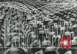 Standbild USA Soldaten United States USA, 1943, aus Sekunde 14 historischem Filmmaterial Videoclip 65675059291
