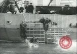Image of life raft United States USA, 1943, second 39 stock footage video 65675059293