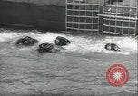 Image of life raft United States USA, 1943, second 43 stock footage video 65675059293