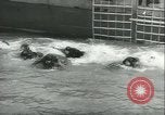 Image of life raft United States USA, 1943, second 44 stock footage video 65675059293