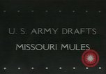 Immagine di Muli United States USA, 1943, secondo 1 filmato di repertorio 65675059295