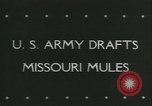 Immagine di Muli United States USA, 1943, secondo 3 filmato di repertorio 65675059295