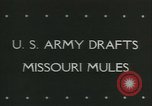 Immagine di Muli United States USA, 1943, secondo 4 filmato di repertorio 65675059295