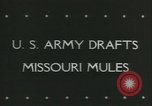 Immagine di Muli United States USA, 1943, secondo 5 filmato di repertorio 65675059295