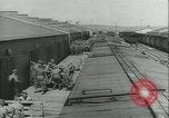 Immagine di Muli United States USA, 1943, secondo 6 filmato di repertorio 65675059295