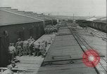 Immagine di Muli United States USA, 1943, secondo 7 filmato di repertorio 65675059295