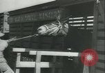 Immagine di Muli United States USA, 1943, secondo 8 filmato di repertorio 65675059295