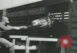 Immagine di Muli United States USA, 1943, secondo 10 filmato di repertorio 65675059295