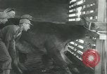 Immagine di Muli United States USA, 1943, secondo 15 filmato di repertorio 65675059295