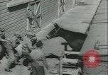 Immagine di Muli United States USA, 1943, secondo 16 filmato di repertorio 65675059295