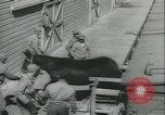 Immagine di Muli United States USA, 1943, secondo 17 filmato di repertorio 65675059295
