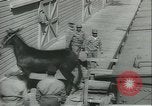 Immagine di Muli United States USA, 1943, secondo 18 filmato di repertorio 65675059295