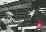 Immagine di Muli United States USA, 1943, secondo 22 filmato di repertorio 65675059295