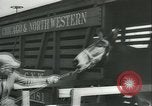 Immagine di Muli United States USA, 1943, secondo 23 filmato di repertorio 65675059295