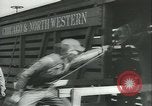 Immagine di Muli United States USA, 1943, secondo 24 filmato di repertorio 65675059295