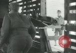 Immagine di Muli United States USA, 1943, secondo 29 filmato di repertorio 65675059295