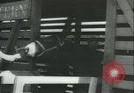 Immagine di Muli United States USA, 1943, secondo 30 filmato di repertorio 65675059295