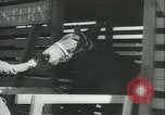 Immagine di Muli United States USA, 1943, secondo 31 filmato di repertorio 65675059295