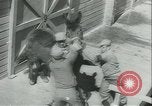 Immagine di Muli United States USA, 1943, secondo 33 filmato di repertorio 65675059295
