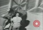 Immagine di Muli United States USA, 1943, secondo 34 filmato di repertorio 65675059295