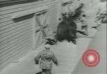 Immagine di Muli United States USA, 1943, secondo 39 filmato di repertorio 65675059295