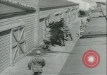 Immagine di Muli United States USA, 1943, secondo 40 filmato di repertorio 65675059295
