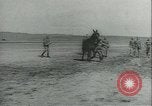 Immagine di Muli United States USA, 1943, secondo 41 filmato di repertorio 65675059295