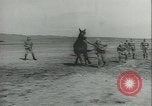 Immagine di Muli United States USA, 1943, secondo 42 filmato di repertorio 65675059295