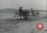 Immagine di Muli United States USA, 1943, secondo 43 filmato di repertorio 65675059295