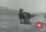 Immagine di Muli United States USA, 1943, secondo 44 filmato di repertorio 65675059295