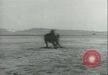 Immagine di Muli United States USA, 1943, secondo 50 filmato di repertorio 65675059295