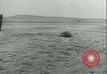 Immagine di Muli United States USA, 1943, secondo 52 filmato di repertorio 65675059295