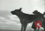 Standbild United States Coast Guards United States USA, 1943, aus Sekunde 27 historischem Filmmaterial Videoclip 65675059297