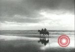 Standbild United States Coast Guards United States USA, 1943, aus Sekunde 37 historischem Filmmaterial Videoclip 65675059297